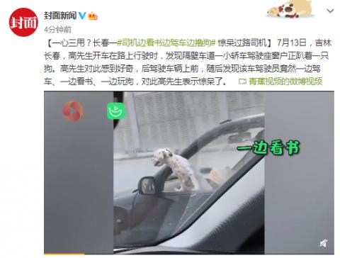 一心三用？司机边看书边驾车边撸狗惊呆过路司机