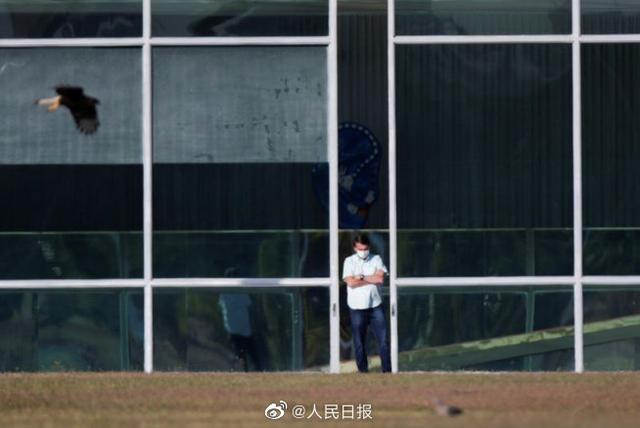 巴西总统博索纳罗确诊一周后进行第二次新冠病毒检测结果仍为阳性