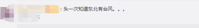 台风“美莎克”致吉林玉米大面积倒伏，像棉被一样铺在地上，减产已成定局(图2)