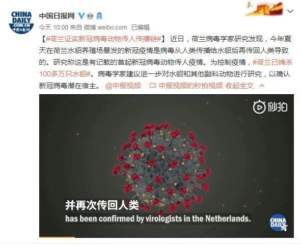 首起！荷兰证实新冠病毒动物传人疫情链条：病毒从人类传播给水貂后再传回人类