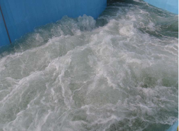 水域救援：水域救援的基础知识(图13)